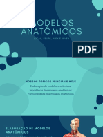 Modelos Anatomicos 0103 Metabolismo