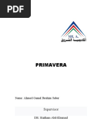 Primavera P6 Version History Overview | PDF | Application Software ...