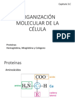 Organización Molecular de La Célula