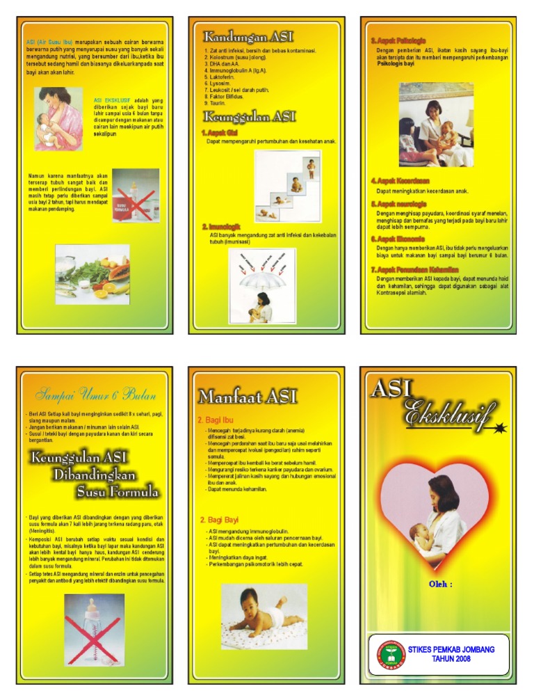Leaflet Asi Eksklusif | PDF