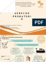 Presentación - Derecho Probatorio