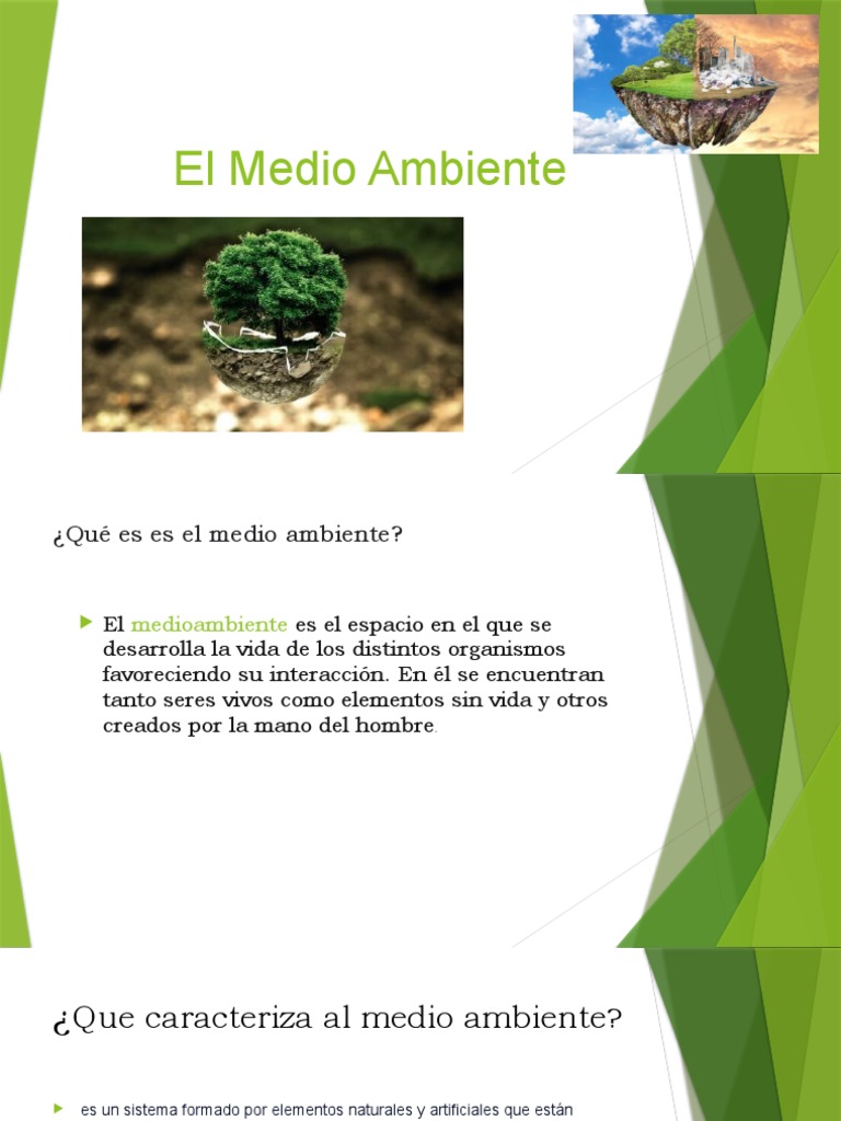 El Medio Ambiente | PDF