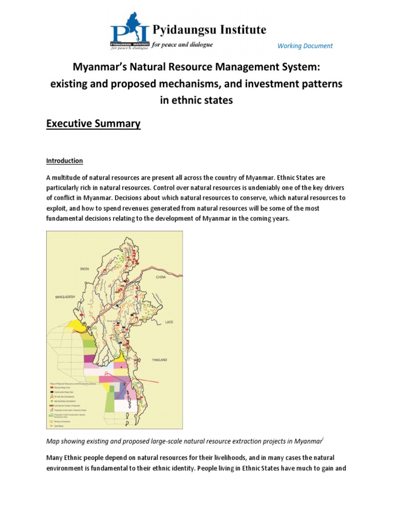 09Executive SummaryMyanmar Natural Resource Management System PDF