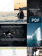Taxonomía de La Orca 2.0