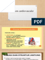 Sistem Cardiovasculer