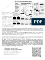 Areas y Zonas Vulnerables de Nicaragua