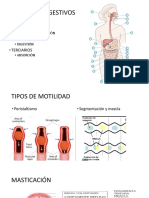 Organización Estructural de La Pared Del Tubo Digestivo