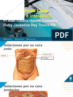 Anatomía Vías Digestivas Bajas 202260 RJR