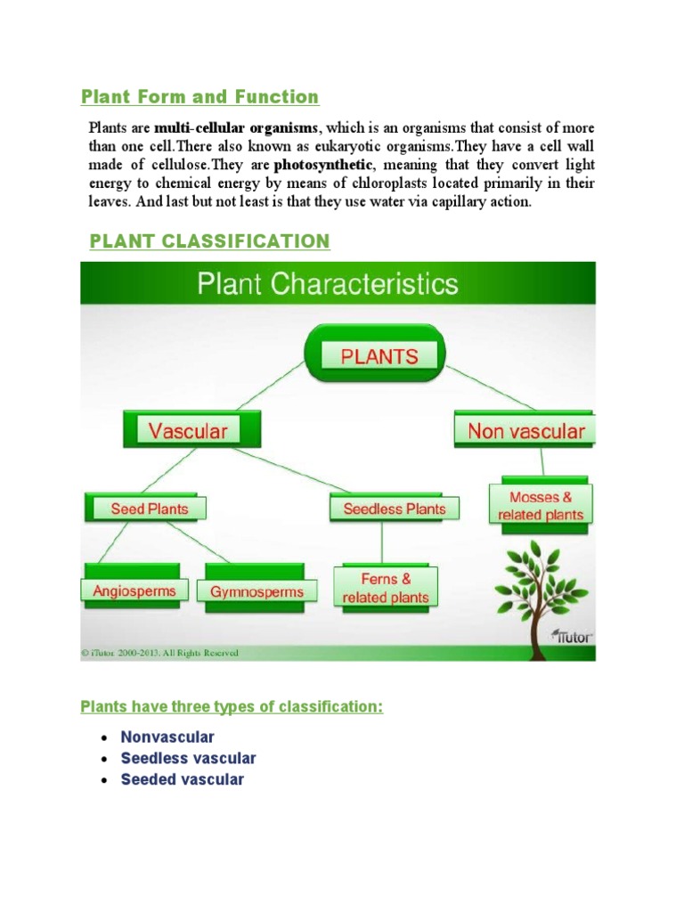 PLANT BIOLOGY Plant Form and Function PDF Ploidy Tissue (Biology)