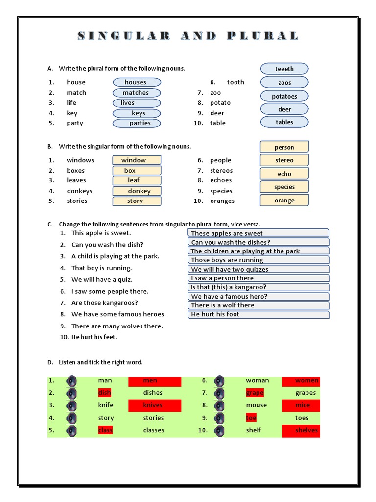 Plural and Singular Noun Exercises | PDF | Plural | Language Mechanics