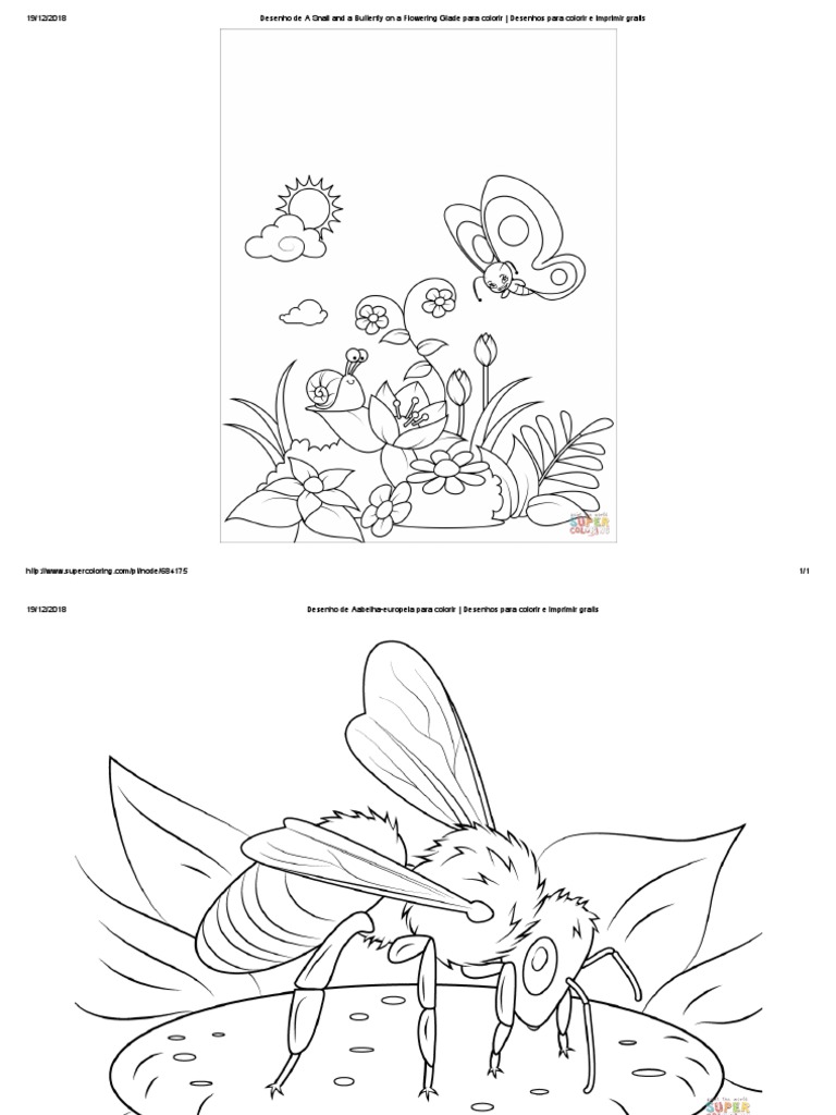 Compila-º-Úo de Desenhos 2 - Natureza Animais Insetos | PDF | Insetos |  Insetos e seres humanos, image size:768x1024