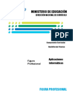 Figura Profesional-Aplicaciones Informaticas