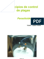 Parasitoides
