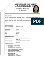 Curriculum Vitae Blanca Guadalupe Ruiz Villar
