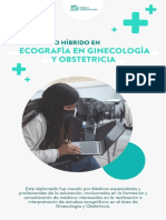 Diplomado Híbrido Gine - Obstetra 500 Hrs