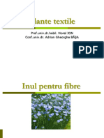 Plante Textile