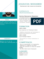 CV Moderne Avec Formes Graphiques Vert Fluo - Compressed