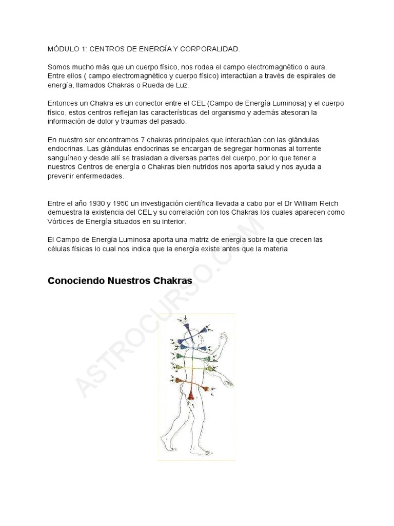 Modulo+1 Centros+de+Energia+y+Corporalidad WM | PDF | Filosofía ...