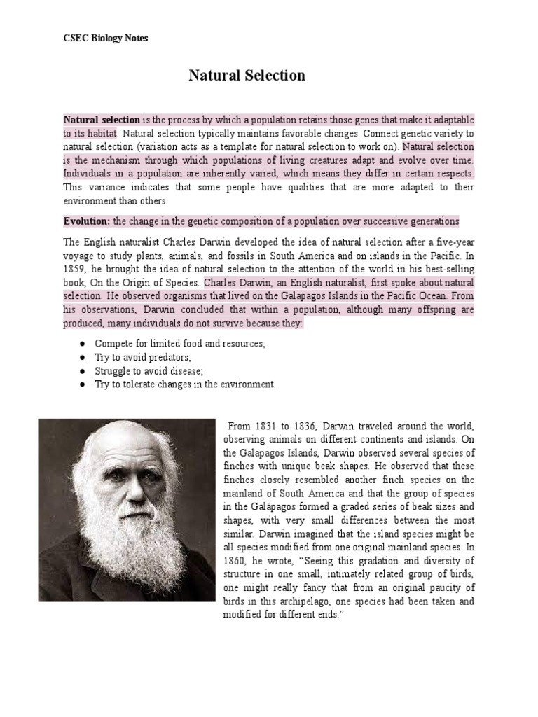 Natural Selection and Evolution Explained | PDF | Science & Mathematics