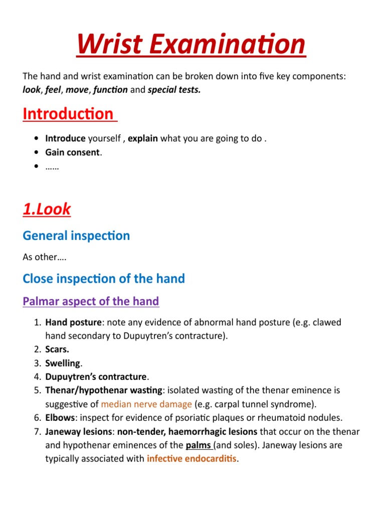 3 Wrist EX | PDF | Hand | Carpal Tunnel Syndrome