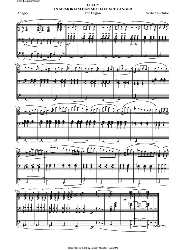 ELEGY IN MEMORIAM DAN MICHAEL SCHLANGER by Serban Nichifor PDF
