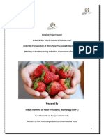 STRAWBERRY CRUSH MANUFACTURING UNIT DPR by IIFPT