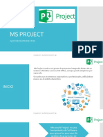 MS Project