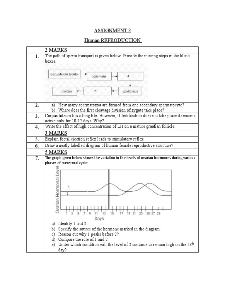 Human Reproduction Assignment Questions | PDF | Foreign Language ...