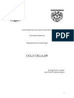 Ciclo Celular 1 PDF