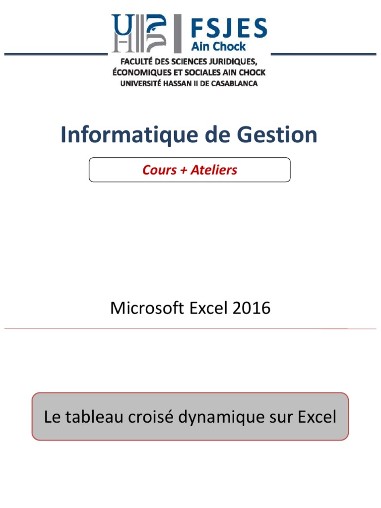 INFORMATIQUE DE GESTION Excel 10 11 | PDF