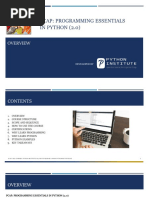 PDF Document