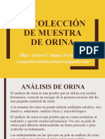 Muestra Orina