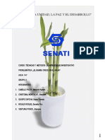 Proyecto+bambú+senati +originalword