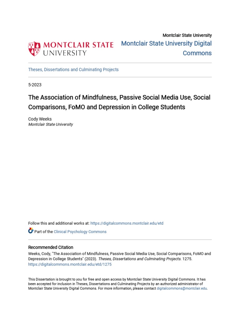 The Association Of Mindfulness Passive Social Media Use Social PDF