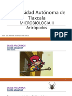 Artrópodos 2 PDF