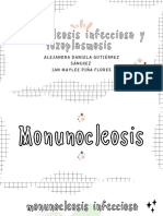 Mononucleosis Infecciosa y Toxoplasmosis: Alejandra Daniela Gutiérrez Sánchez Ian Maylee Piña Flores