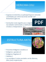 Escherichia Coli