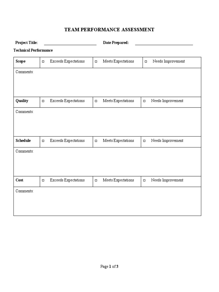 Team Performance Assessment | PDF | Career & Growth | Business