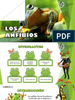 LOS ANFIBIOS