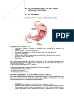 Dietoterapia y Práctica Hospitalaria Del Adulto 2023-Gastritis