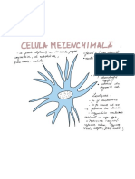 Diagrame Celule Histologie