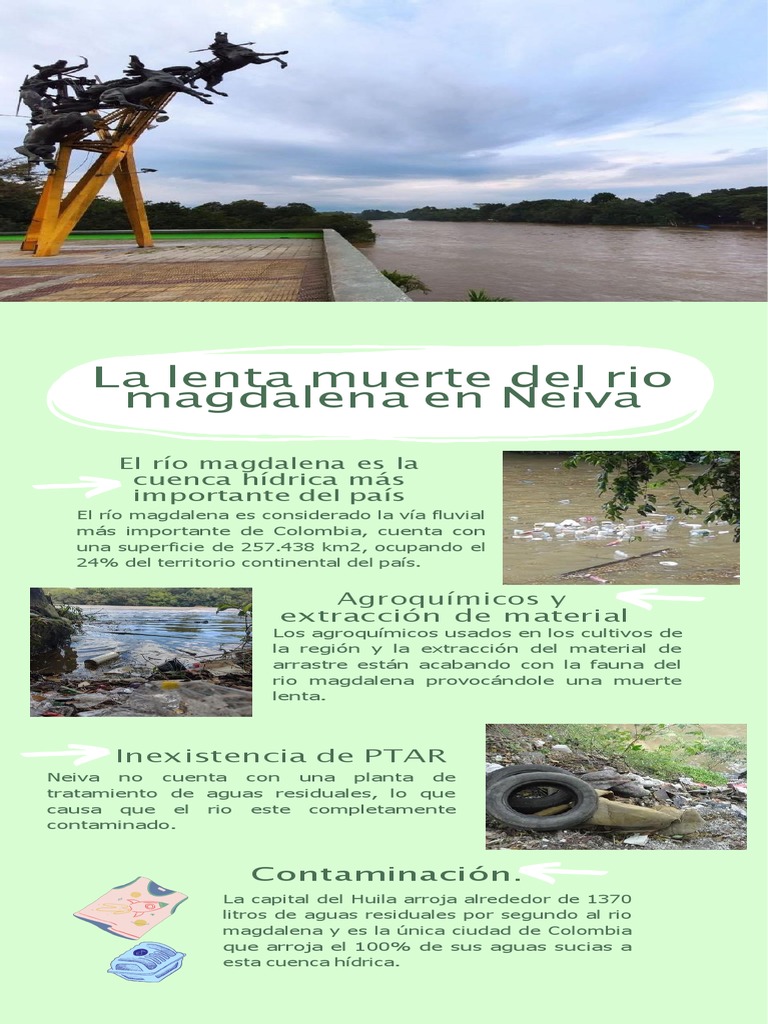 Contaminación del Río Magdalena en Neiva | PDF