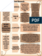 Mapa Conceptual de Discapacidad Intelectual