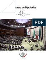 La Cámara de Diputados en 45 Preguntas