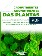 Bônus 3-Macronutrientes e Os Micronutrientes Das Plantas