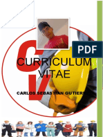 Curriculum Carlos Sebastian Gutierrez