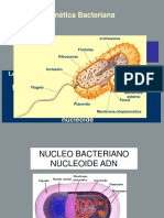 Genetica Bacteriana 1