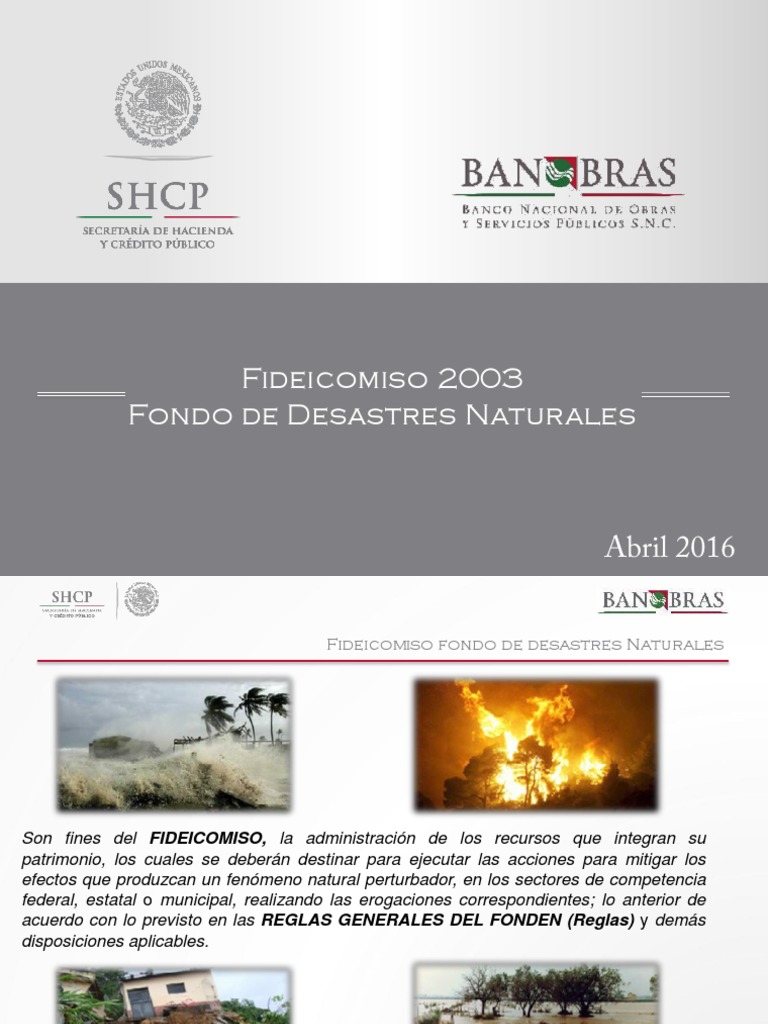 Banobras Fonden | PDF | Ley de fideicomiso | Fiduciario