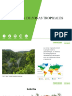 Procesos de Zonas Tropicales