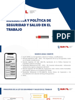 Normativa y Política de SST - Essalud